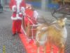 BABBO NATALE A DOMICILIO BABBO NATALE A CASA TUA BABBO NATALE PER LA SERATA DEL 24 DICEMBRE A CASA TUA 3478497587