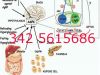 RIPETIZIONI BIOCHIMICA 342 5615686 VILLA CORTESE