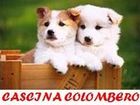 Cascina Colombero