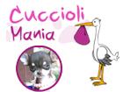 Cucciolimania