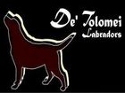 ALLEVAMENTO DE' TOLOMEI