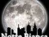 NOTTI BIANCHE ORGANIZZAZIONE EVENTI PER NOTTI BIANCHE