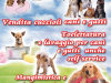 Logo agenzia