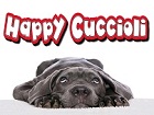 HAPPY CUCCIOLI