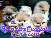 LA CUCCIA