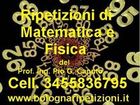 www.bolognaripetizioni.it