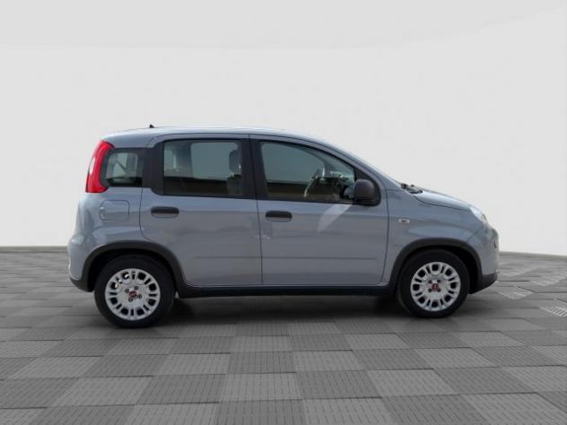 FIAT Panda Panda 1.0 FireFly Hybrid City Life rif. 23674665 - Foto 6