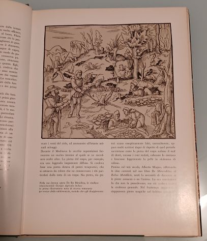 I MINERALI di Paul E. Desautels, Mondadori 1972. - Foto 10
