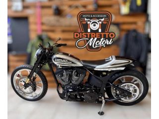 ALTRE MOTO O TIPOLOGIE Altro softtail xr124 s&s super stok 2025 cc es unico