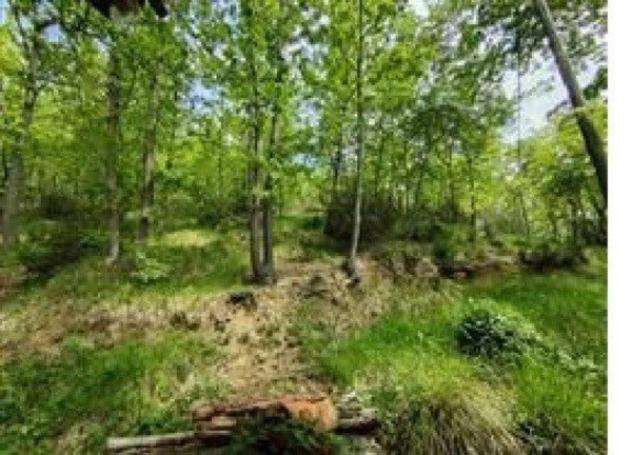 Immobile in asta di 173288 m² in vendita a Plodio - Foto 5