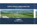 Immobile in asta di 9460 m² in vendita a Santa Croce di Magliano