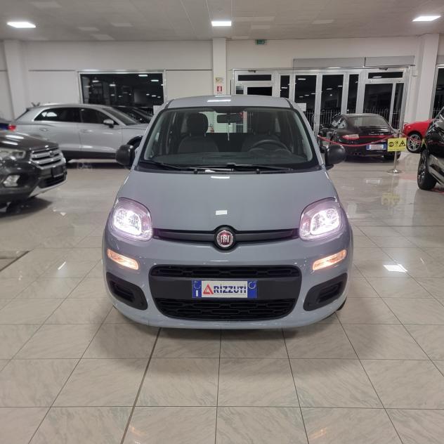 Fiat Panda 1.0 FireFly S&S Hybrid - Foto 2