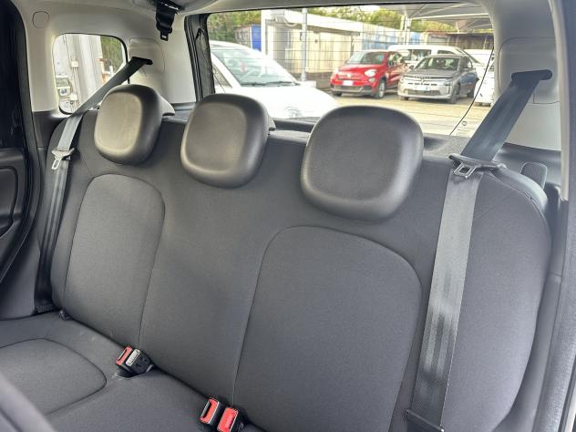 FIAT Panda Panda 1.0 FireFly S&S Hybrid - Foto 10