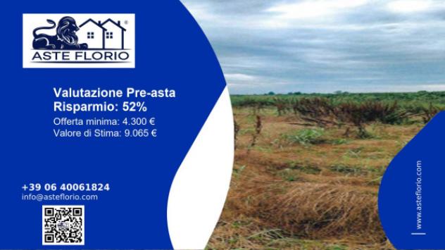 Immobile in asta di 1813 m² in vendita a Ceresara