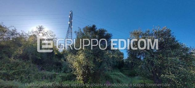 Terreno in vendita a Massa - Rif. 3560037 - Foto 3