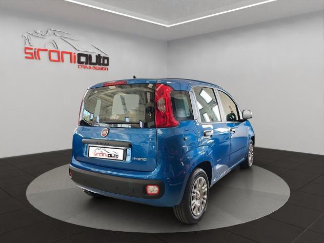 FIAT Pandina Pandina 1.0 firefly hybrid Icon s&s 65cv - Foto 7