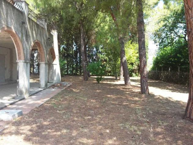 Indipendente in vendita a Tortoreto - Foto 3