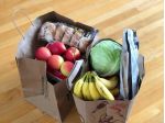 Alimentari in vendita a Empoli 42 mq  Rif: 1360308