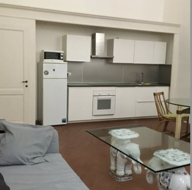 BEAUTIFUL APT IN SAN NICCOLO'