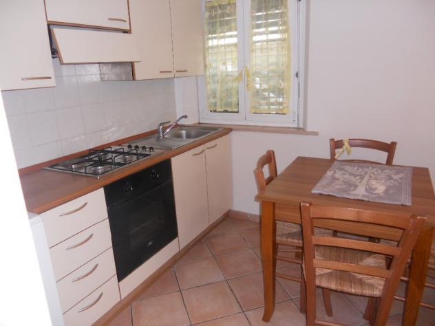 Appartamento in affitto a Pontedera 38 mq Rif: 401455 - Foto 3