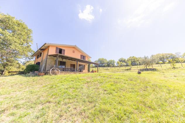 Casale in vendita a Barbarano Romano - Foto 17