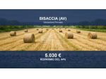 Immobile in asta di 13560 m² in vendita a Bisaccia