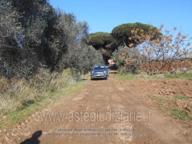 IMMOBILI-ALTRA CATEGORIA-Prati di Coppola, Latina - Foto 2