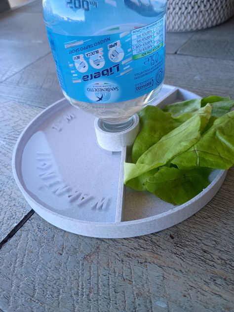 Mangiatoia beverino per tartarughe - Foto 8
