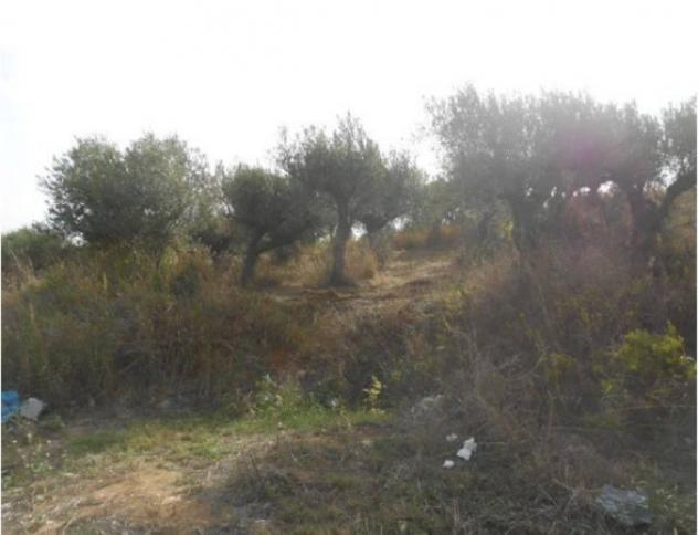 Immobile in asta di 15825 m² in vendita a Alcamo - Foto 6