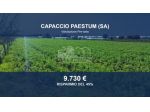 Immobile in asta di 3790 m² in vendita a Capaccio Paestum
