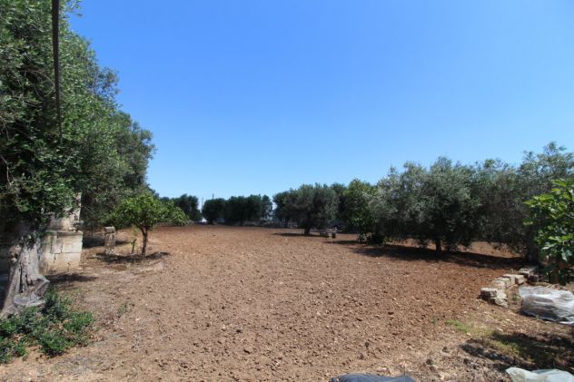 TERRENO CON TRULLO C.DA NEVIERA SAN MARZANO DI SAN GIUSEPPE - Foto 3