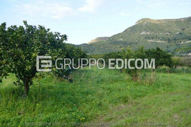Terreno in vendita a Sant'Ilario dello Ionio - Rif. 4551104