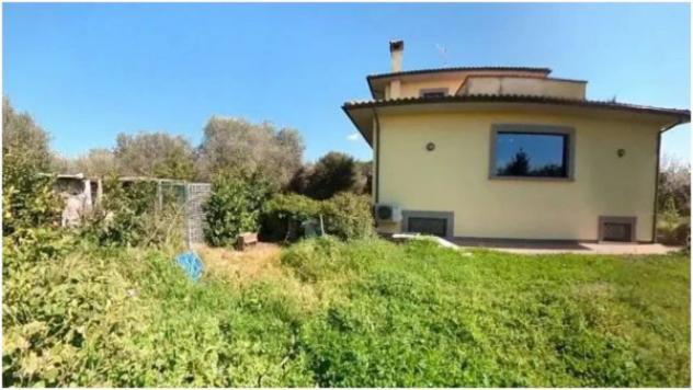 Immobile in asta di 273 m² in vendita a Viterbo - Foto 3