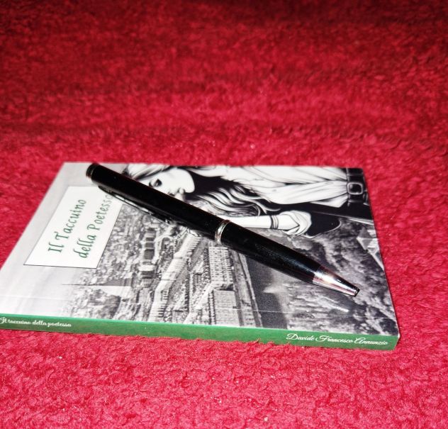 Il taccuino della poetessa - Foto 3