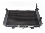 BMW G 310 GS 17118558350 RADIATORE K02 16 - 20 RADIATOR LEGGERMENTE STORTO
