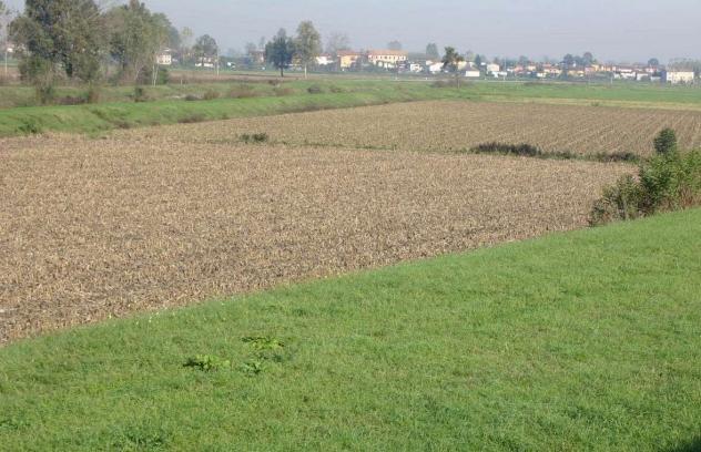 terr alto 70 - Terreno Agricolo a Altopascio - Spianate - Foto 2