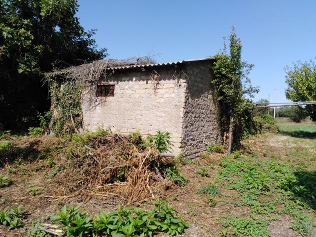 Agricolo in Via della Moletta - Foto 12