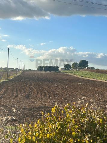 Terreno in vendita a Noto - Foto 2