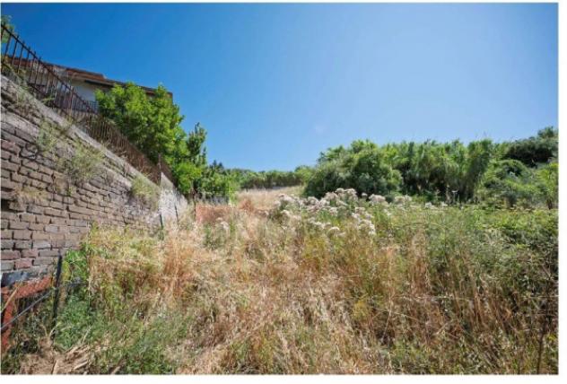 Immobile in asta di 17072 m² in vendita a Olevano Romano - Foto 4