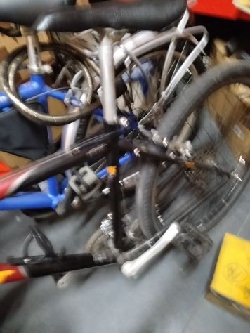 Bici ragazzi/e adulti