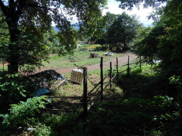 Villa in vendita a Lucca - Foto 10
