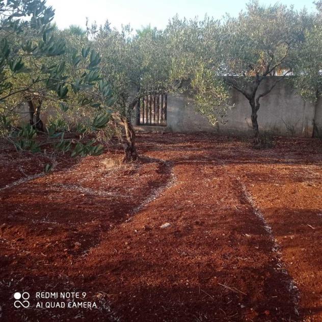 Villa in vendita a Mazara del Vallo - Foto 4