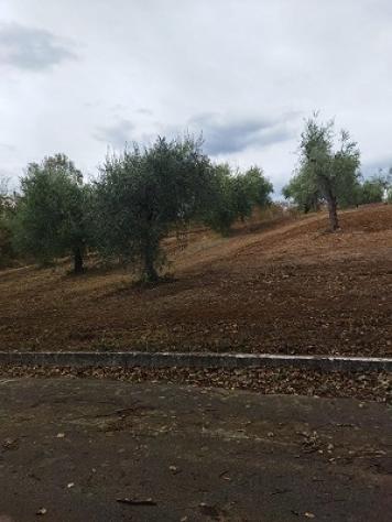 Terreno edificabile in vendita a Filetto - Foto 6