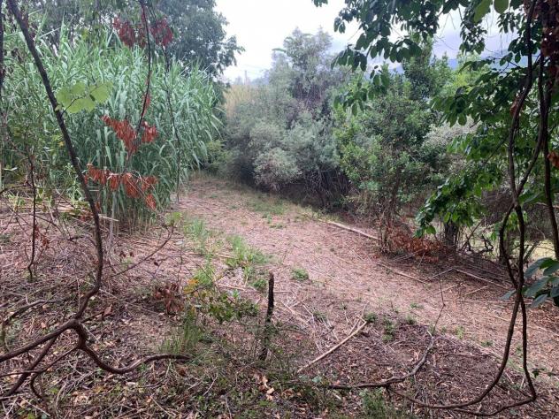 Terreno edificabile in vendita a Quiliano - Foto 11