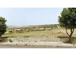 Nella Marmilla, a Villanovafranca, vi proponiamo otto lotti panoramici sull &hellip;