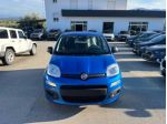 FIAT Panda 1.0 FireFly S&S Hybrid rif. 22823525