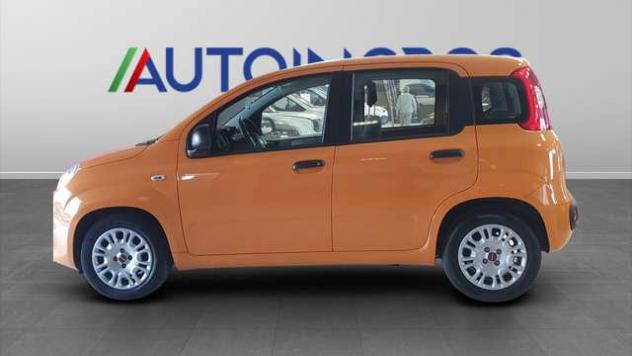 FIAT Panda 1.0 FireFly Hybrid - Foto 2