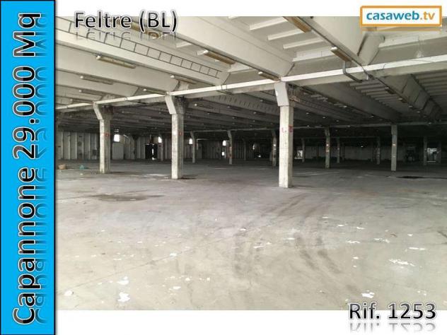 1253 - Capannone a Borgo Valbelluna - Foto 4