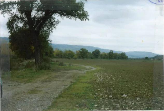 Immobile in asta di 45234 m² in vendita a Salandra - Foto 4
