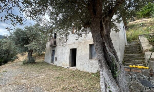 CASALE CON TERRENO IN CAMPAGNA